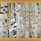 Christmas Around the Corner, Guardsman Pass, Park City, Utah