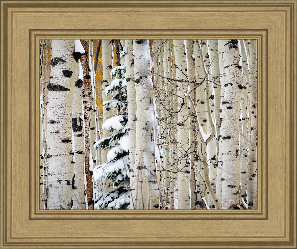 Christmas Around the Corner, Guardsman Pass, Park City, Utah