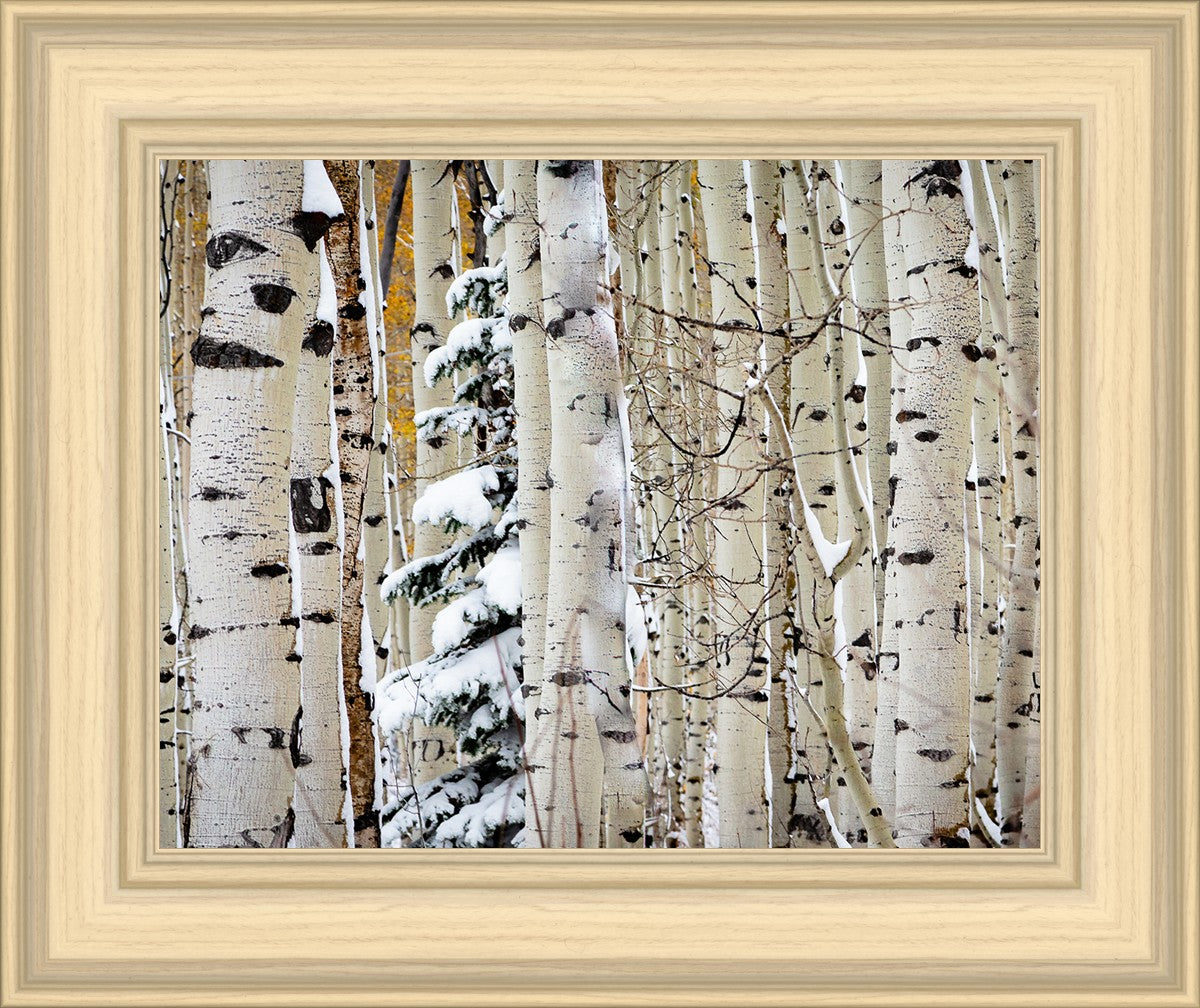 Christmas Around the Corner, Guardsman Pass, Park City, Utah