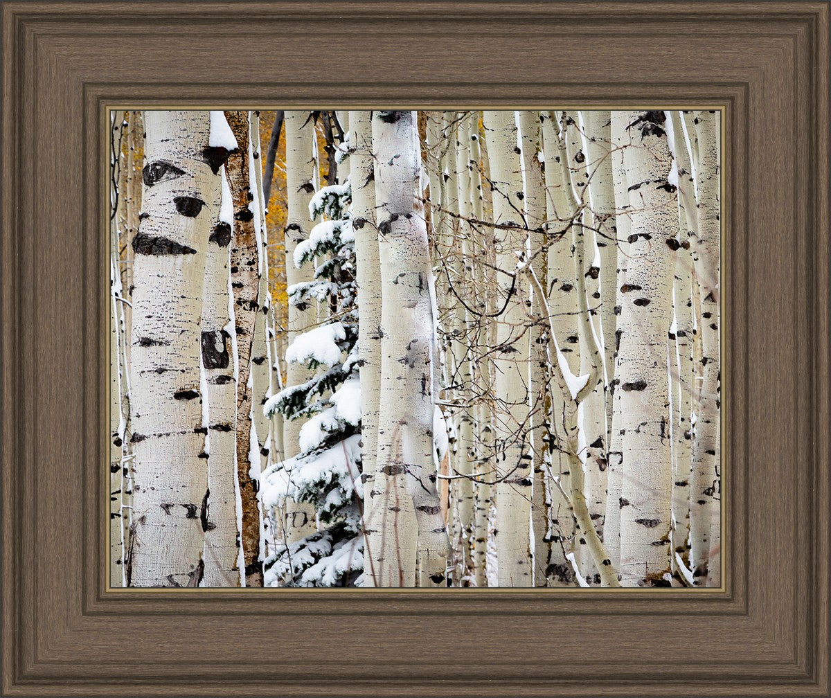 Christmas Around the Corner, Guardsman Pass, Park City, Utah