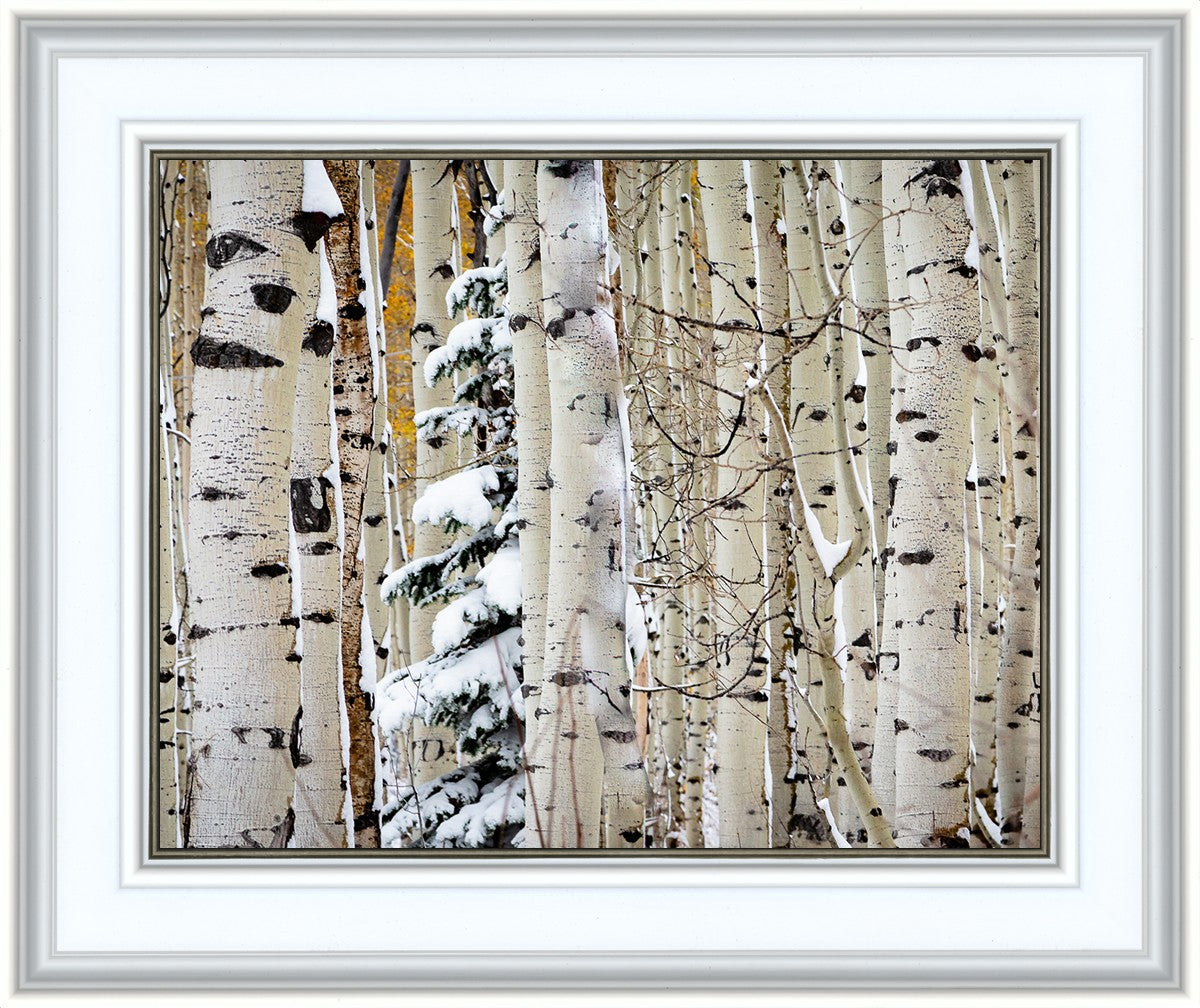Christmas Around the Corner, Guardsman Pass, Park City, Utah
