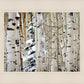 Christmas Around the Corner, Guardsman Pass, Park City, Utah