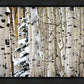 Christmas Around the Corner, Guardsman Pass, Park City, Utah