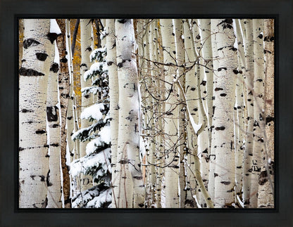 Christmas Around the Corner, Guardsman Pass, Park City, Utah