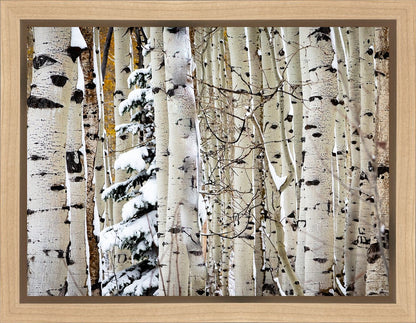 Christmas Around the Corner, Guardsman Pass, Park City, Utah