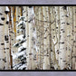 Christmas Around the Corner, Guardsman Pass, Park City, Utah