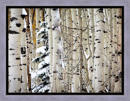 Christmas Around the Corner, Guardsman Pass, Park City, Utah