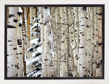 Christmas Around the Corner, Guardsman Pass, Park City, Utah