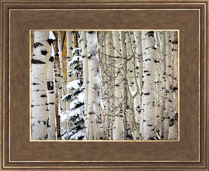 Christmas Around the Corner, Guardsman Pass, Park City, Utah