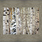 Christmas Around the Corner, Guardsman Pass, Park City, Utah