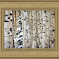 Christmas Around the Corner, Guardsman Pass, Park City, Utah