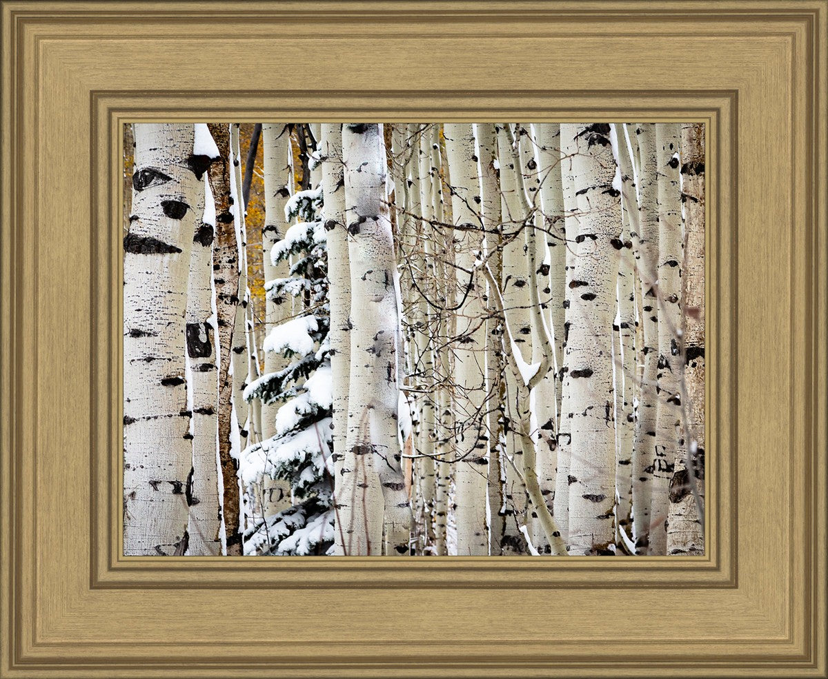Christmas Around the Corner, Guardsman Pass, Park City, Utah