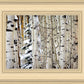 Christmas Around the Corner, Guardsman Pass, Park City, Utah