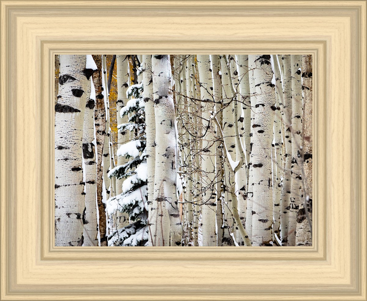 Christmas Around the Corner, Guardsman Pass, Park City, Utah