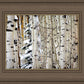 Christmas Around the Corner, Guardsman Pass, Park City, Utah