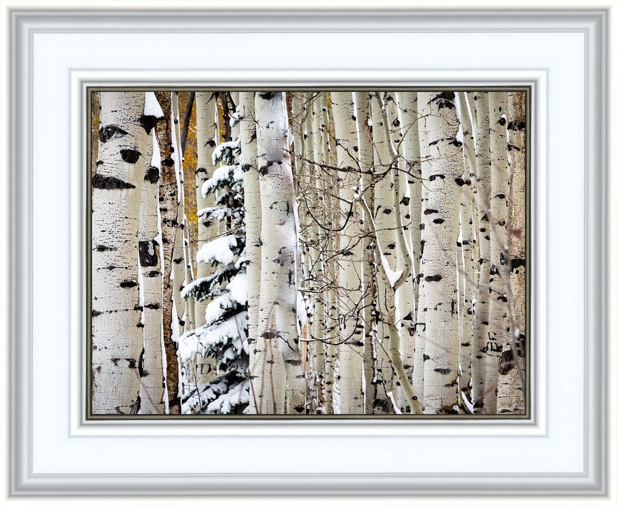 Christmas Around the Corner, Guardsman Pass, Park City, Utah