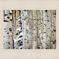 Christmas Around the Corner, Guardsman Pass, Park City, Utah