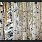 Christmas Around the Corner, Guardsman Pass, Park City, Utah