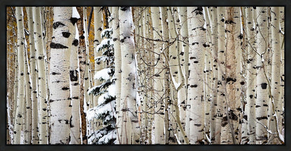 Christmas Around the Corner, Guardsman Pass, Park City, Utah