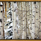 Christmas Around the Corner, Guardsman Pass, Park City, Utah