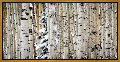 Christmas Around the Corner, Guardsman Pass, Park City, Utah