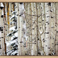 Christmas Around the Corner, Guardsman Pass, Park City, Utah
