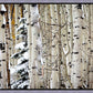 Christmas Around the Corner, Guardsman Pass, Park City, Utah