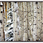 Christmas Around the Corner, Guardsman Pass, Park City, Utah