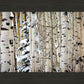 Christmas Around the Corner, Guardsman Pass, Park City, Utah