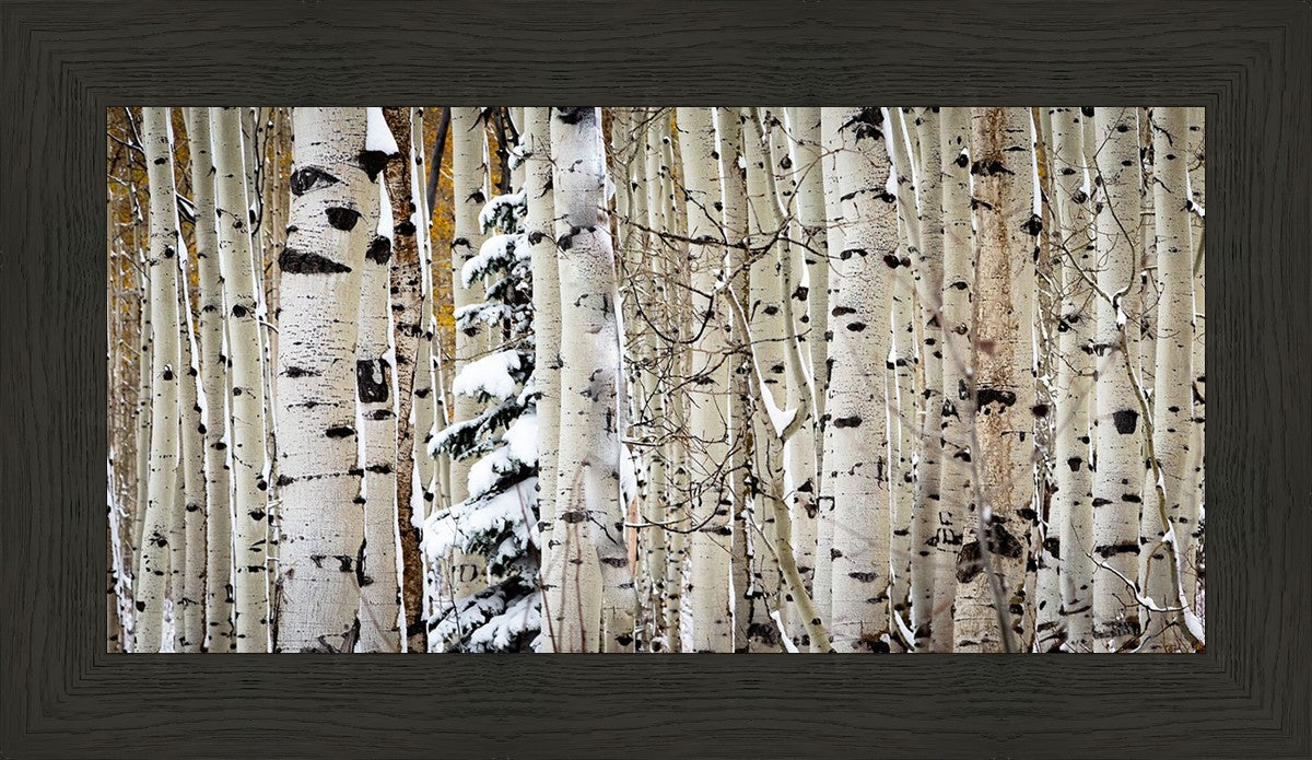 Christmas Around the Corner, Guardsman Pass, Park City, Utah