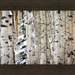 Christmas Around the Corner, Guardsman Pass, Park City, Utah