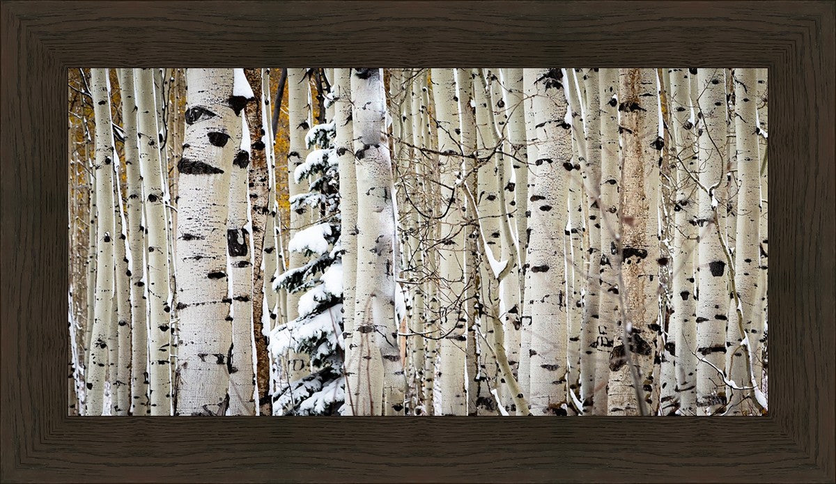 Christmas Around the Corner, Guardsman Pass, Park City, Utah