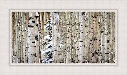 Christmas Around the Corner, Guardsman Pass, Park City, Utah