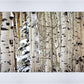 Christmas Around the Corner, Guardsman Pass, Park City, Utah