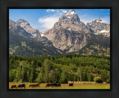 Panorama of Grand Teton Mountain Range, Wyoming