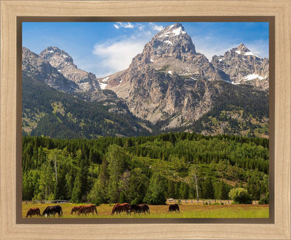 Panorama of Grand Teton Mountain Range, Wyoming