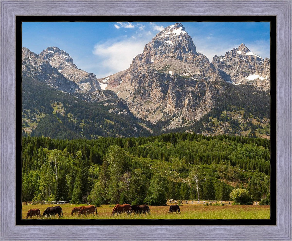 Panorama of Grand Teton Mountain Range, Wyoming