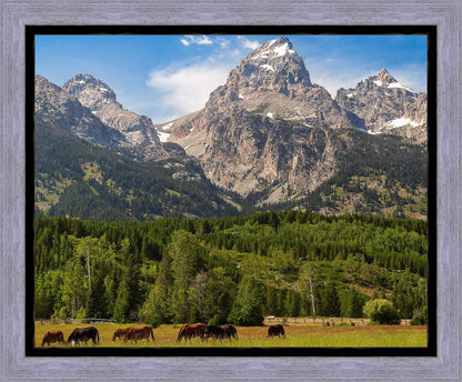 Panorama of Grand Teton Mountain Range, Wyoming