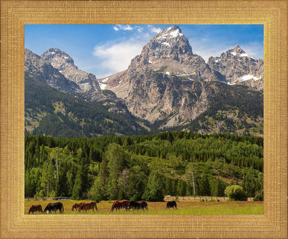 Panorama of Grand Teton Mountain Range, Wyoming