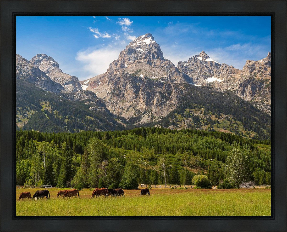 Panorama of Grand Teton Mountain Range, Wyoming