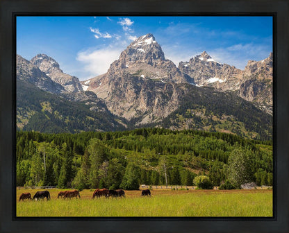 Panorama of Grand Teton Mountain Range, Wyoming