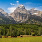 Panorama of Grand Teton Mountain Range, Wyoming