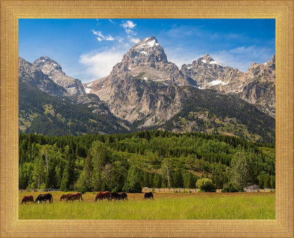 Panorama of Grand Teton Mountain Range, Wyoming