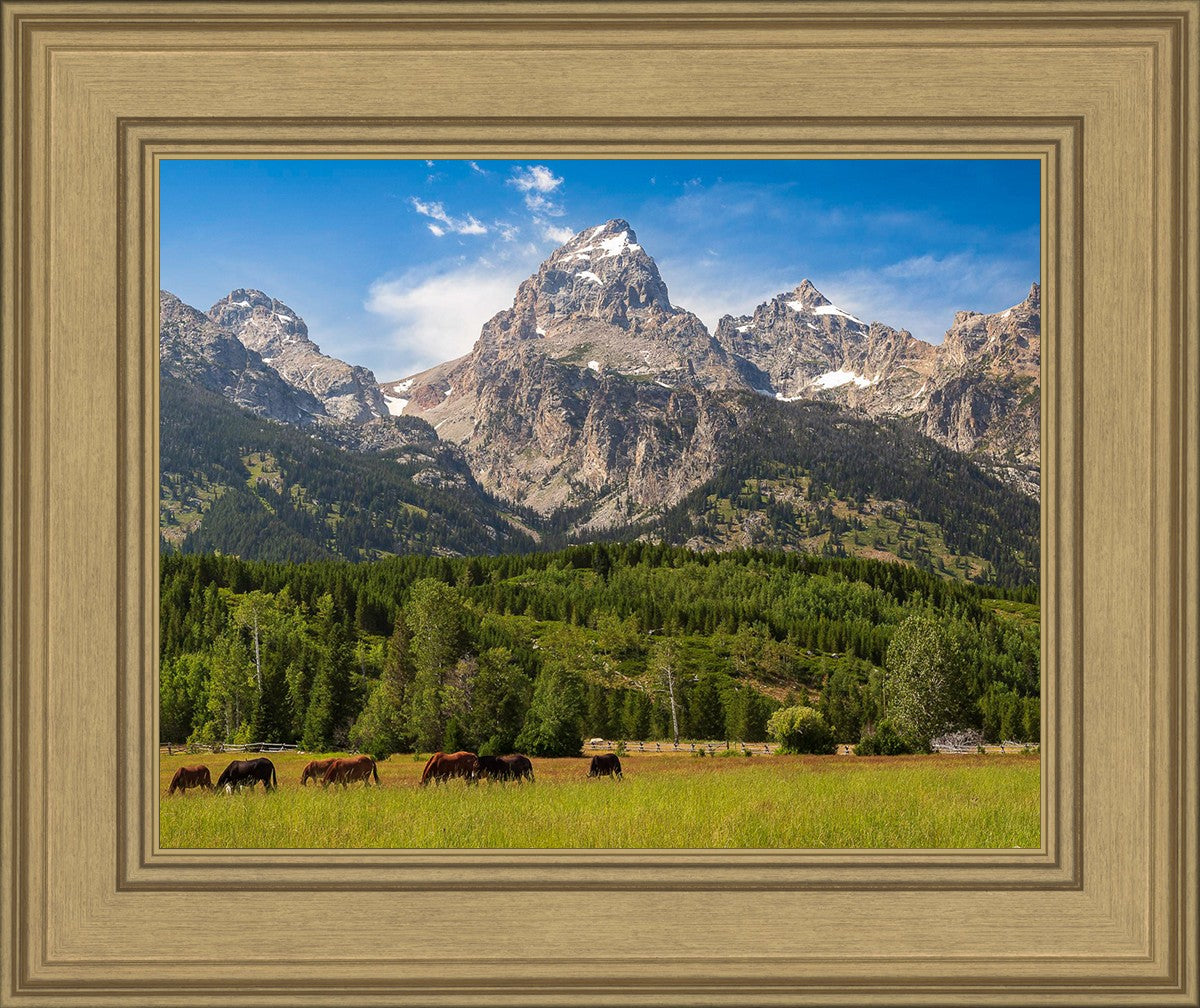 Panorama of Grand Teton Mountain Range, Wyoming