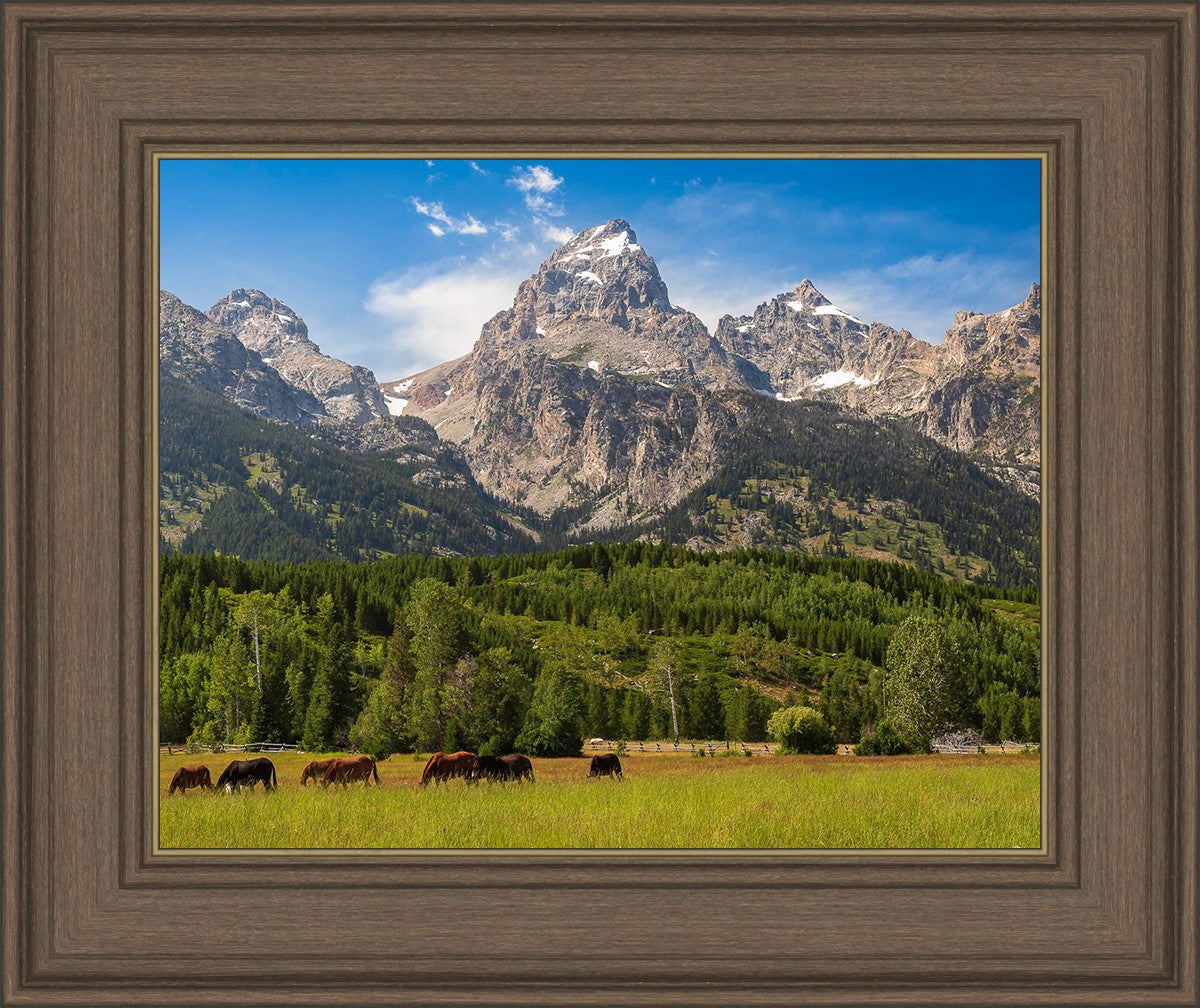 Panorama of Grand Teton Mountain Range, Wyoming