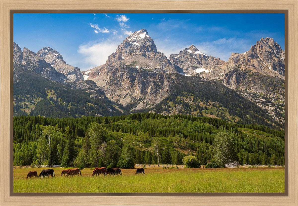 Panorama of Grand Teton Mountain Range, Wyoming