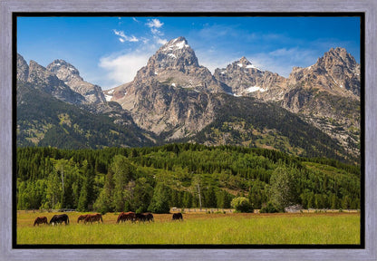 Panorama of Grand Teton Mountain Range, Wyoming