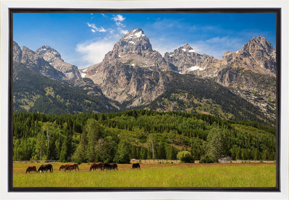 Panorama of Grand Teton Mountain Range, Wyoming