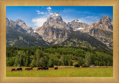 Panorama of Grand Teton Mountain Range, Wyoming