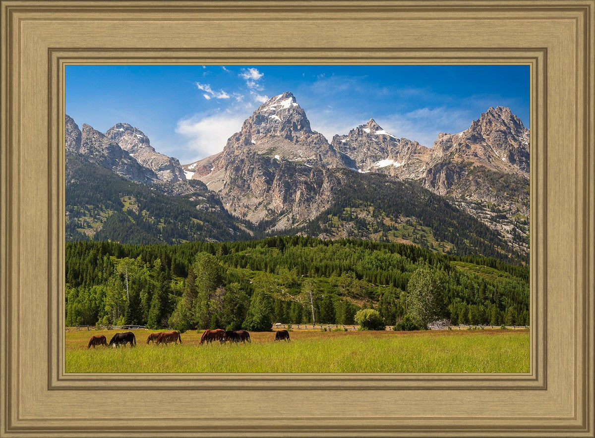 Panorama of Grand Teton Mountain Range, Wyoming